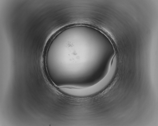 X0000112020928200908171427