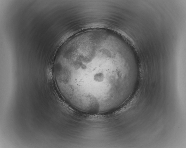 X0000112020929200908171427