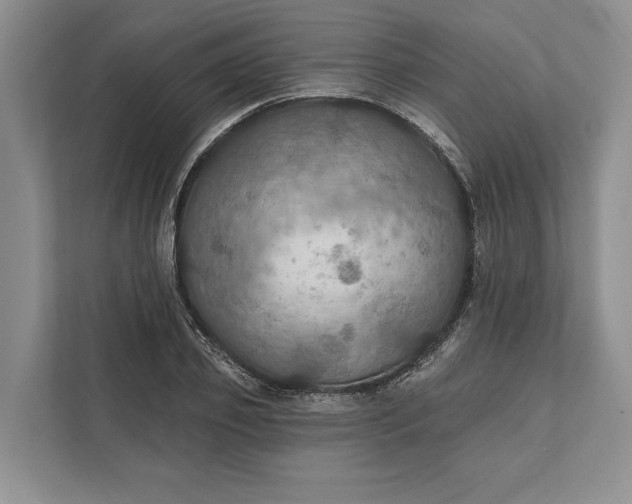 X0000112020933200908171427