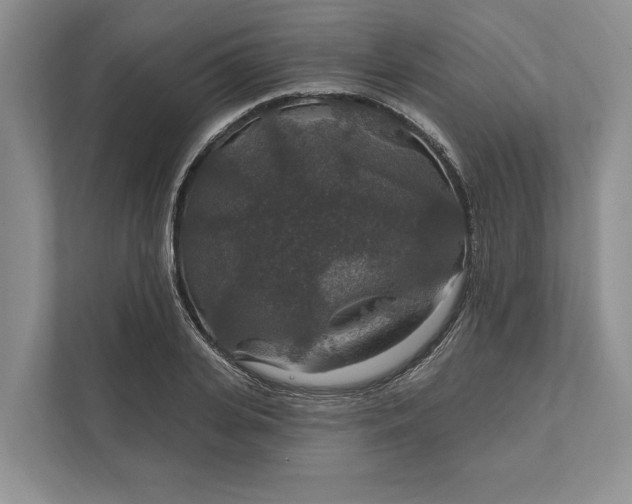 X0000112020935200908171427