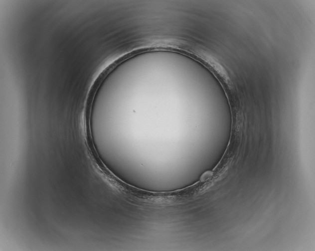 X0000112020936200908171427