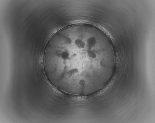 X0000112020937200908171427