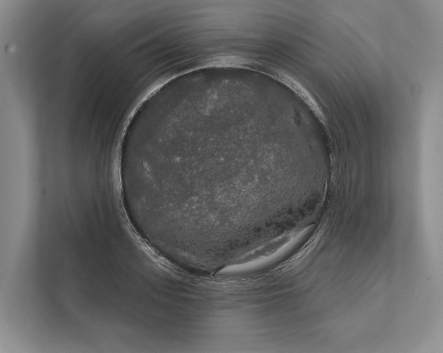 X0000112020939200908171427