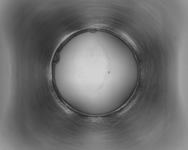 X0000112020940200908171427