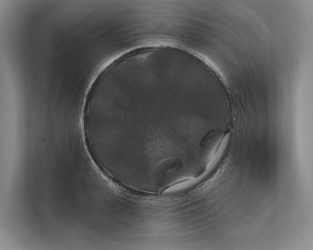 X0000112020943200908171427