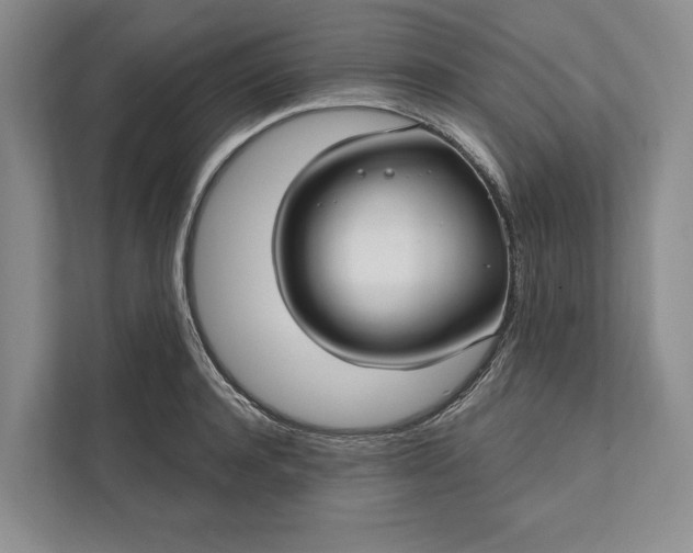 X0000112020944200908171427