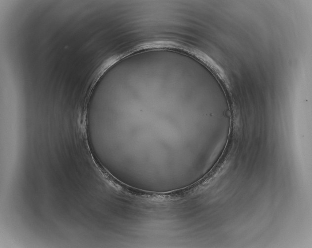 X0000112020945200908171427