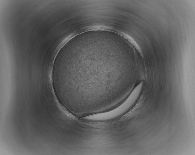 X0000112020946200908171427