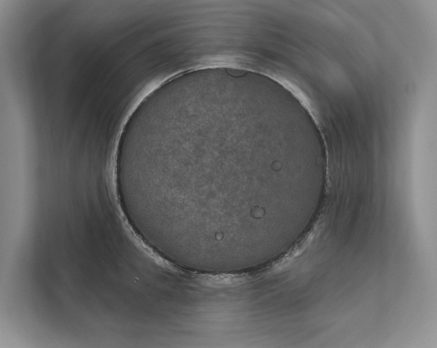 X0000112020949200908171427