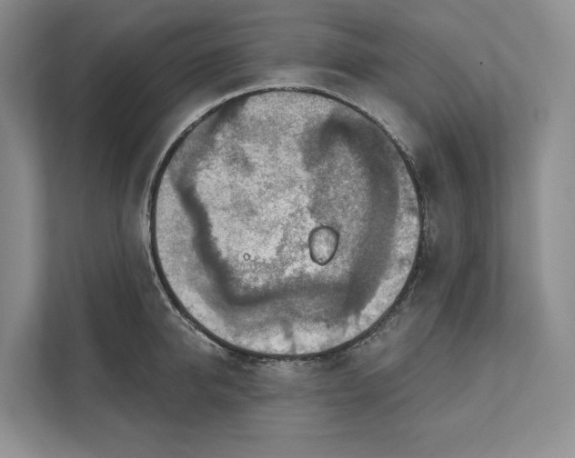 X0000112020950200908171427