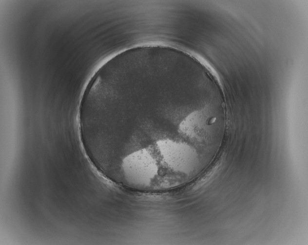 X0000112020951200908171427