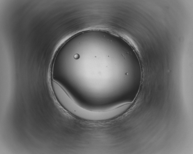 X0000112020952200908171427