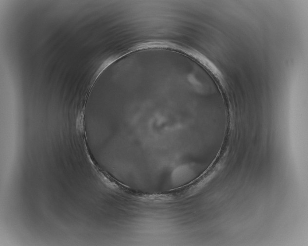 X0000112020953200908171427