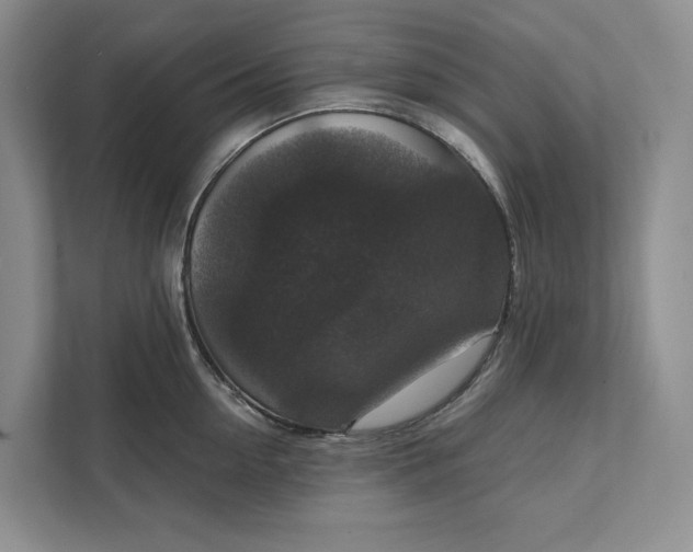 X0000112020954200908171427