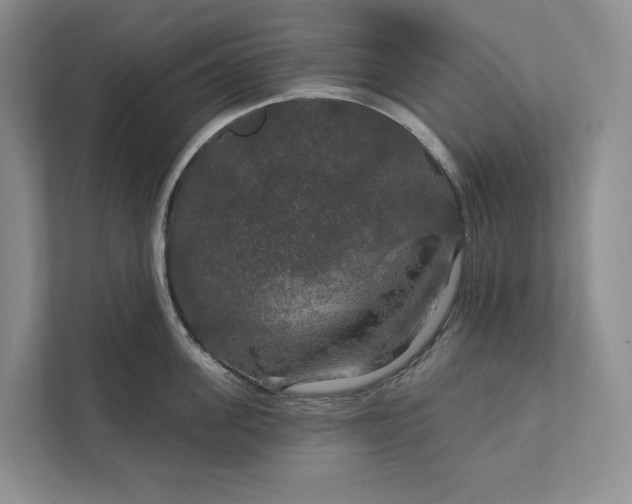 X0000112020955200908171427