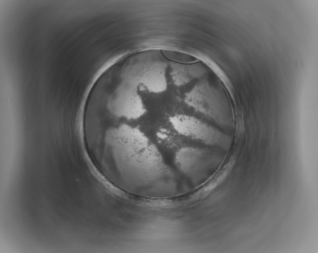 X0000112020957200908171427