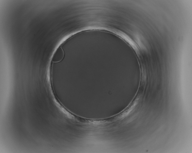 X0000112020958200908171427