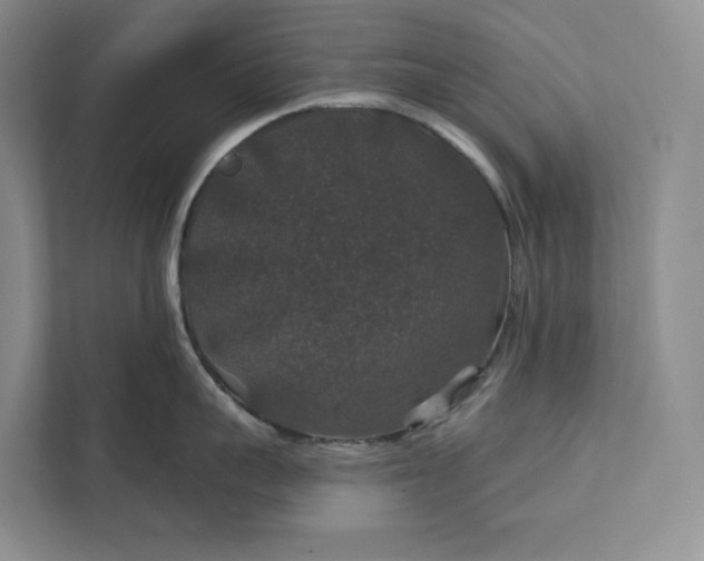 X0000112020959200908171427