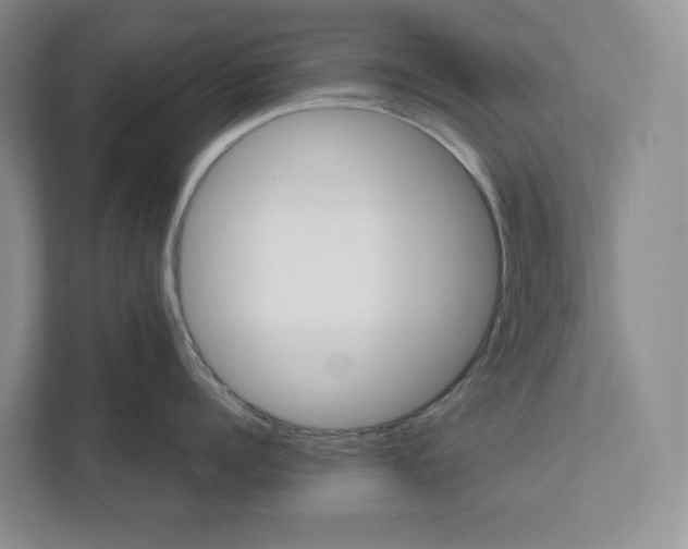 X0000112020960200908171427