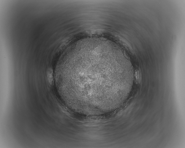 X0000112020963200908171427