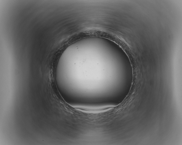 X0000112020965200908171427