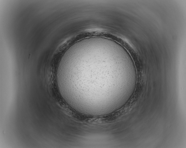 X0000112020967200908171427