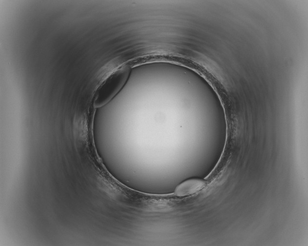 X0000112020969200908171427