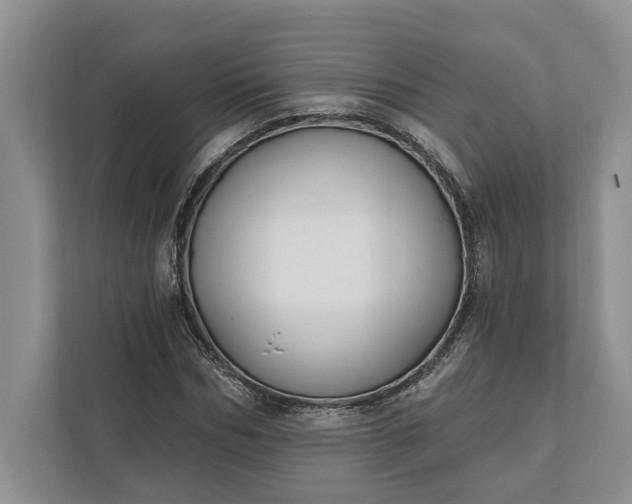 X0000112020970200908171427