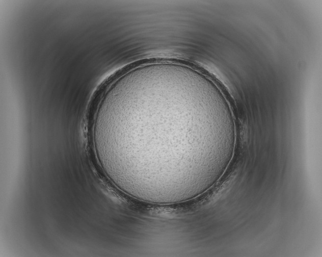 X0000112020971200908171426