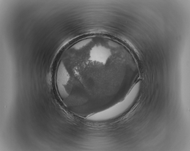 X0000112020975200908171426