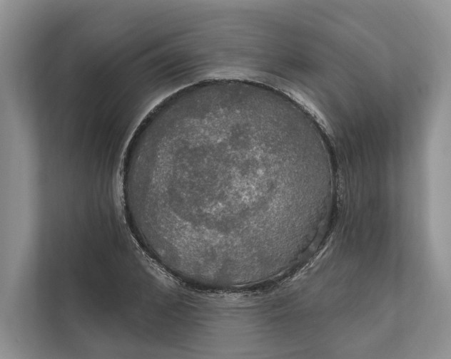 X0000112020976200908171426