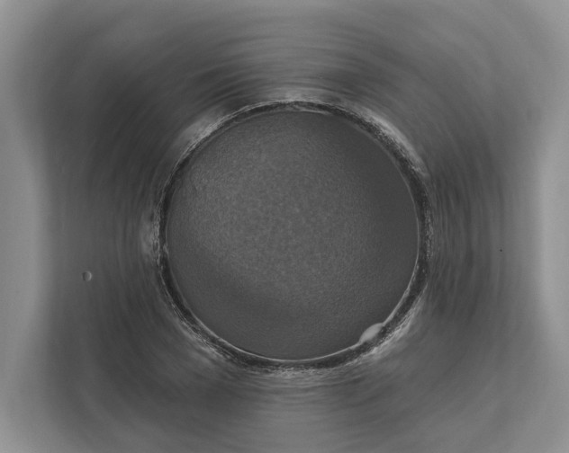 X0000112020977200908171426