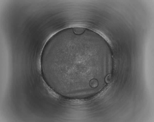 X0000112020980200908171426