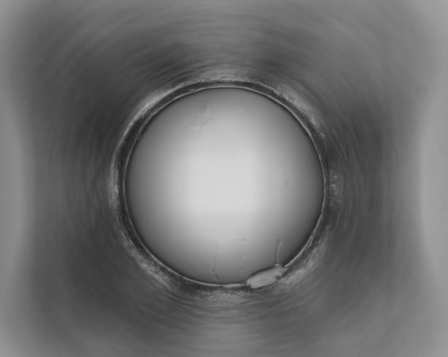 X0000112020981200908171426