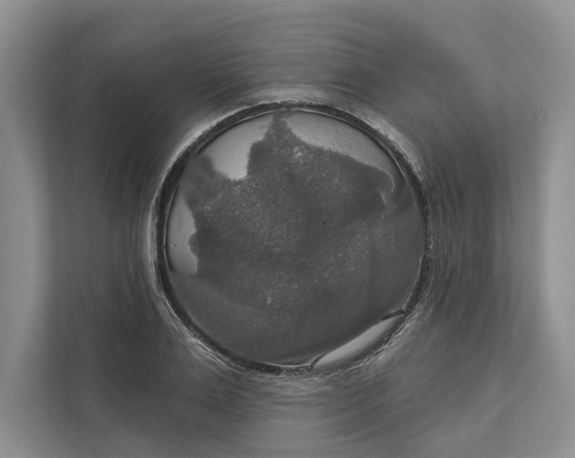 X0000112020983200908171426