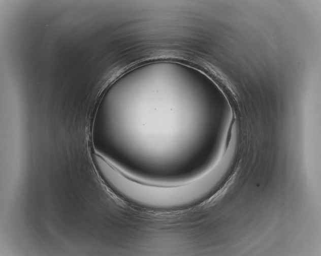 X0000112020985200908171426