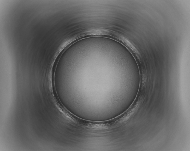 X0000112020986200908171426