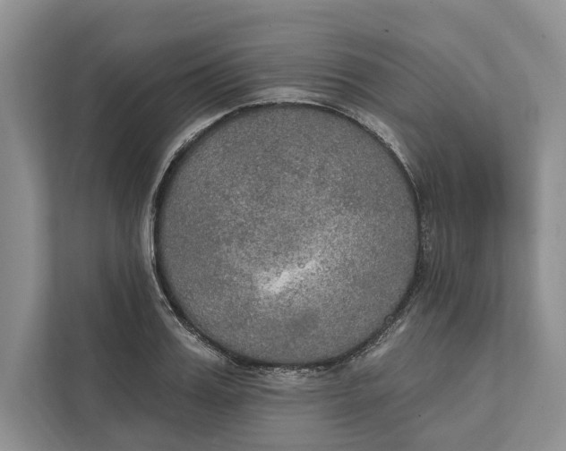 X0000112020987200908171426