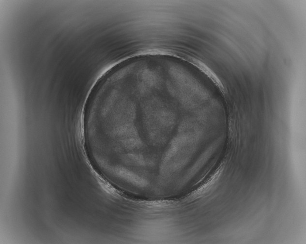 X0000112020988200908171426