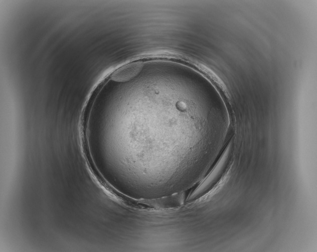 X0000112020989200908171426