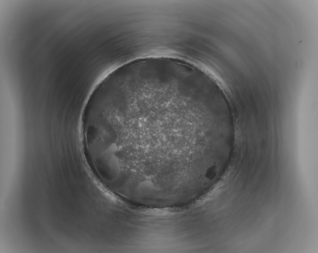 X0000112020990200908171426