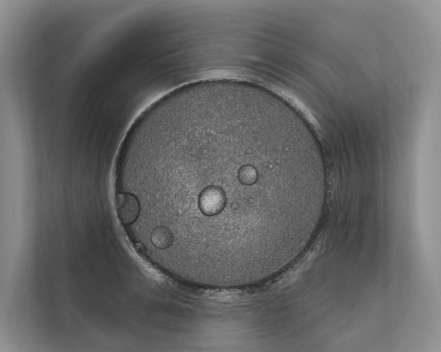 X0000112020991200908171426