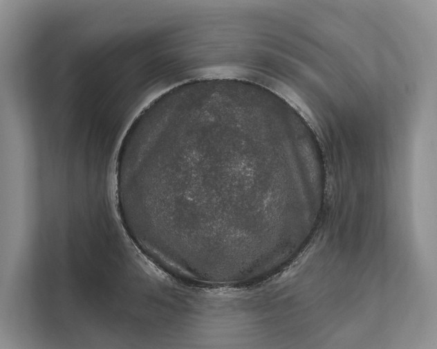 X0000112020992200908171426