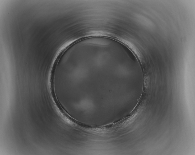 X0000112020995200908171426