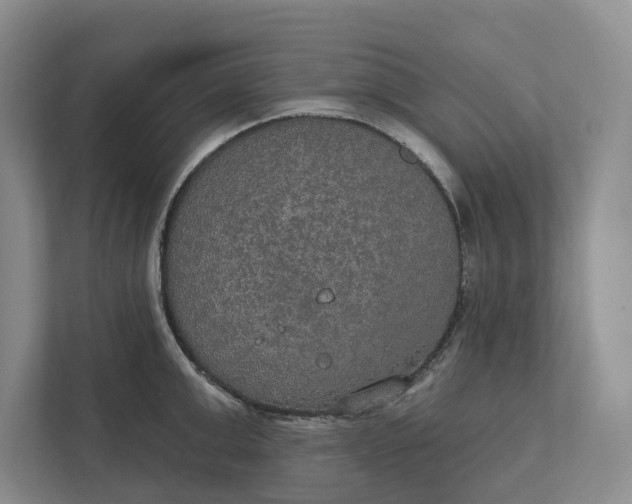 X0000112020999200908171426