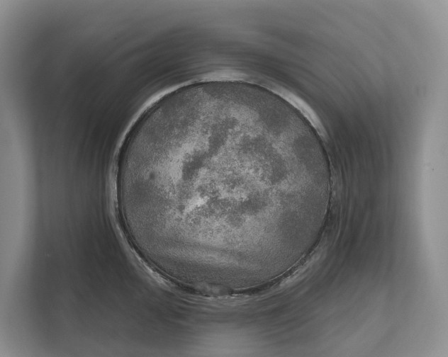 X0000112021000200908171426