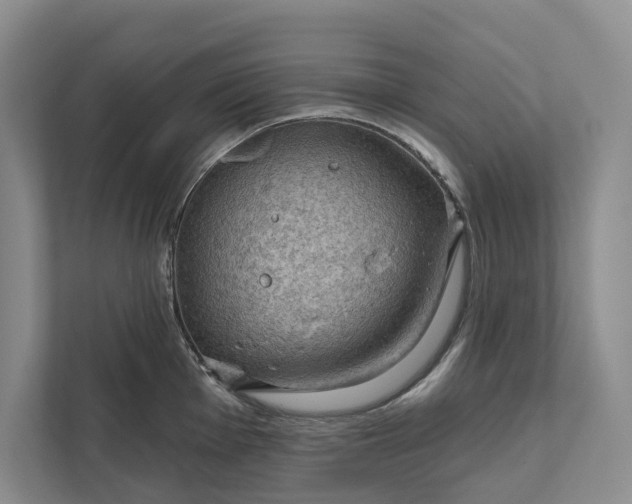 X0000112021001200908171426