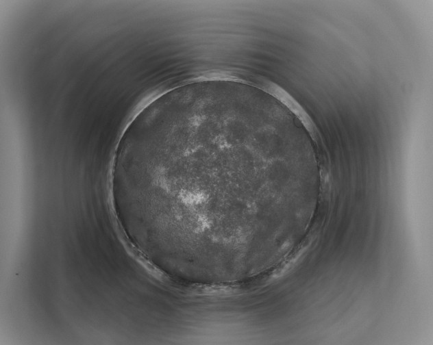 X0000112021002200908171426