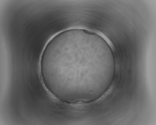 X0000112021004200908171426