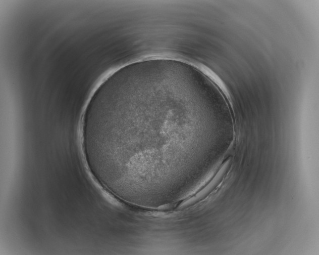 X0000112021005200908171426